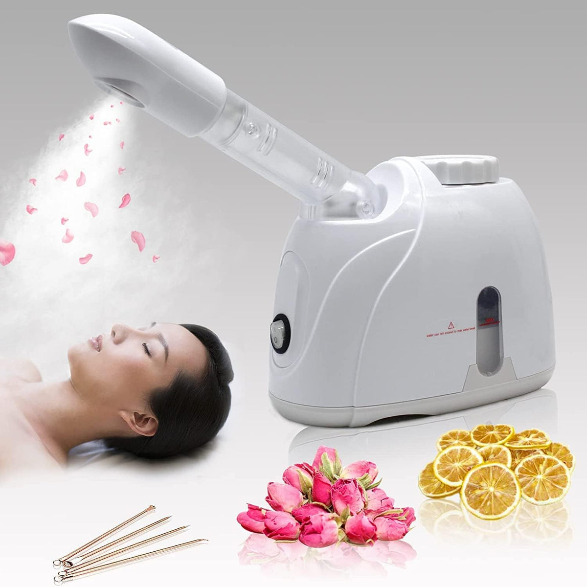 Kingdom Home Face Steamer