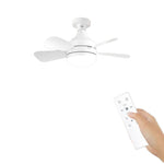 Torima Ceiling Fan Light